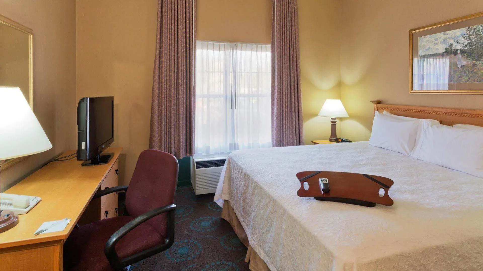 Hampton Inn & Suites Phoenix-Goodyear Goodyear